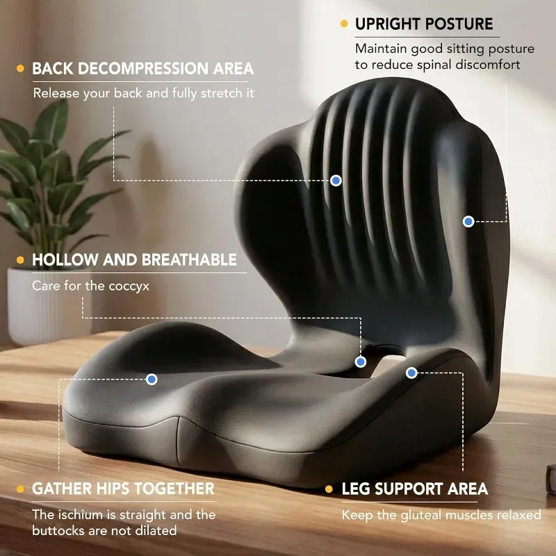 Seat and Back Support